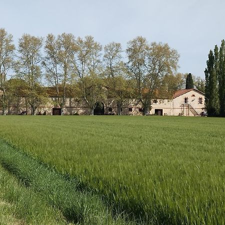La Cave De Grand Cabane Fourques (Gard) Exterior foto